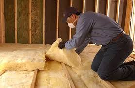 Best Insulation Removal  in Barre, VT